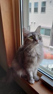 パパ、ママギャラリー
